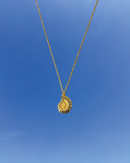 Silhouette Spark KAIA necklace 金色鸚鵡螺貝殼吊墜項鍊，金色鍊條，藍天背景