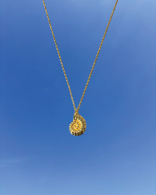 Silhouette Spark KAIA necklace 金色鸚鵡螺貝殼吊墜項鍊，金色鍊條，藍天背景